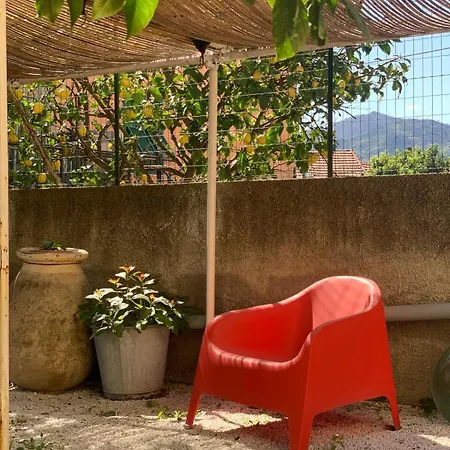 La Magnolia *