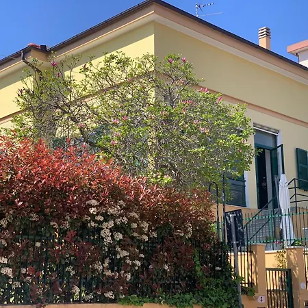 La Magnolia *