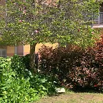 Bed & Breakfast La Magnolia 3*